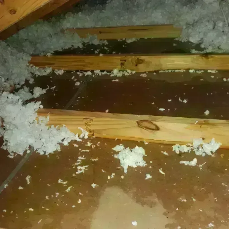 Attic Water Damage in Poynette, WI