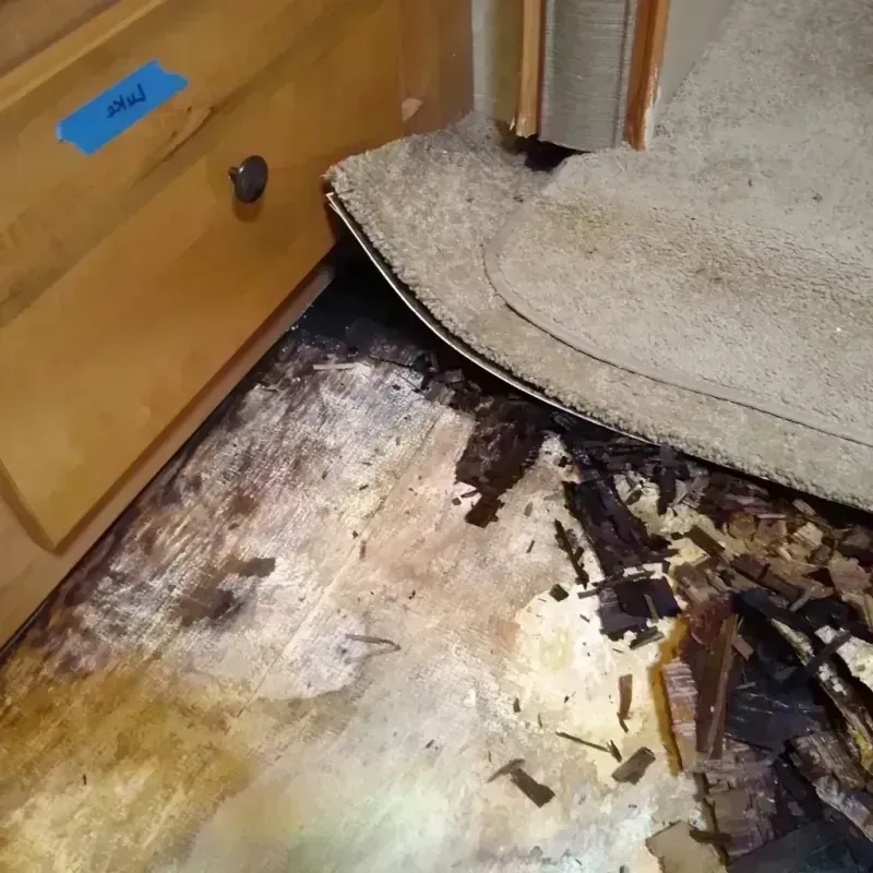 Wood Floor Water Damage in Poynette, WI